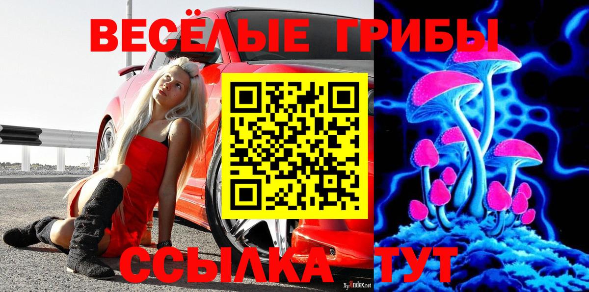 Галлюциногенные грибы Cubensis  Вход с VPN  Рубцовск 